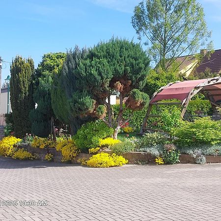 Ferienwohnung Bienwald Mit Pool Fuer 4 - 6 Personen Mit 3 Schlafzimmern Grobitz Eksteriør bilde